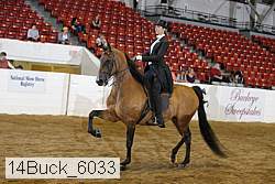 14buck_6033 proof