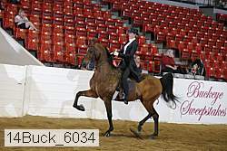 14buck_6034 proof