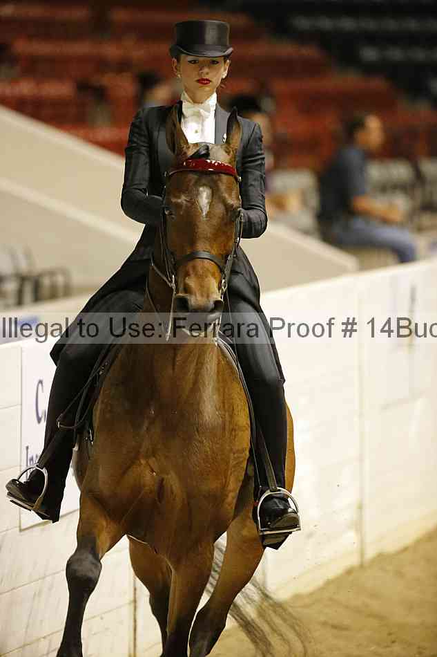 Proof 14buck_6039