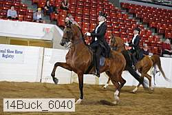 14buck_6040 proof