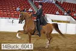 14buck_6041 proof