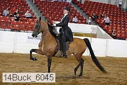 14buck_6045 proof