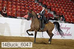 14buck_6047 proof