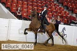14buck_6049 proof