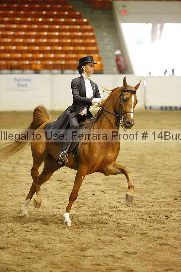 Proof 14buck_6051
