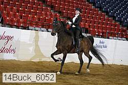 14buck_6052 proof