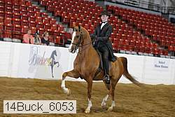 14buck_6053 proof
