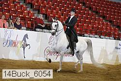 14buck_6054 proof