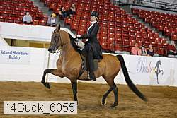 14buck_6055 proof
