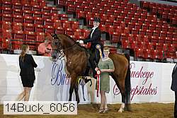 14buck_6056 proof