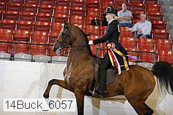 14buck_6057 proof