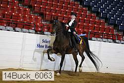 14buck_6063 proof