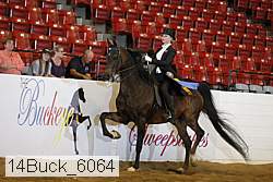 14buck_6064 proof