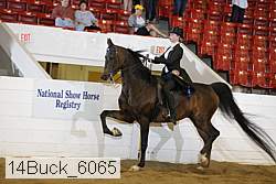 14buck_6065 proof