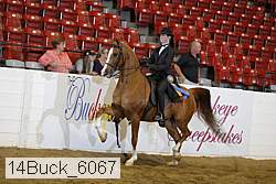 14buck_6067 proof