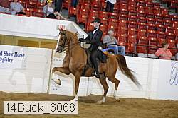 14buck_6068 proof