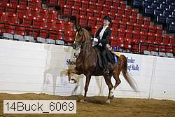 14buck_6069 proof