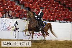 14buck_6070 proof