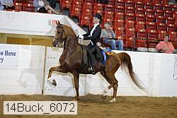 14buck_6072 proof