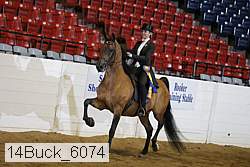 14buck_6074 proof