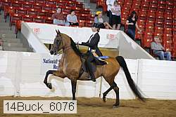 14buck_6076 proof