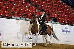 14buck_6077 proof