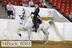 14buck_6083 proof