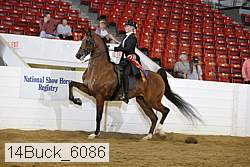 14buck_6086 proof
