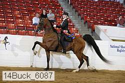 14buck_6087 proof