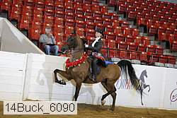 14buck_6090 proof