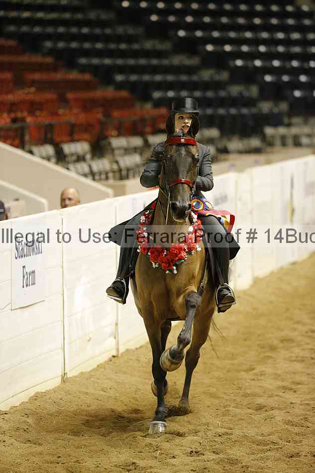 Proof 14buck_6093