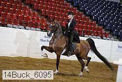 14buck_6095 proof