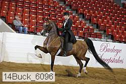 14buck_6096 proof