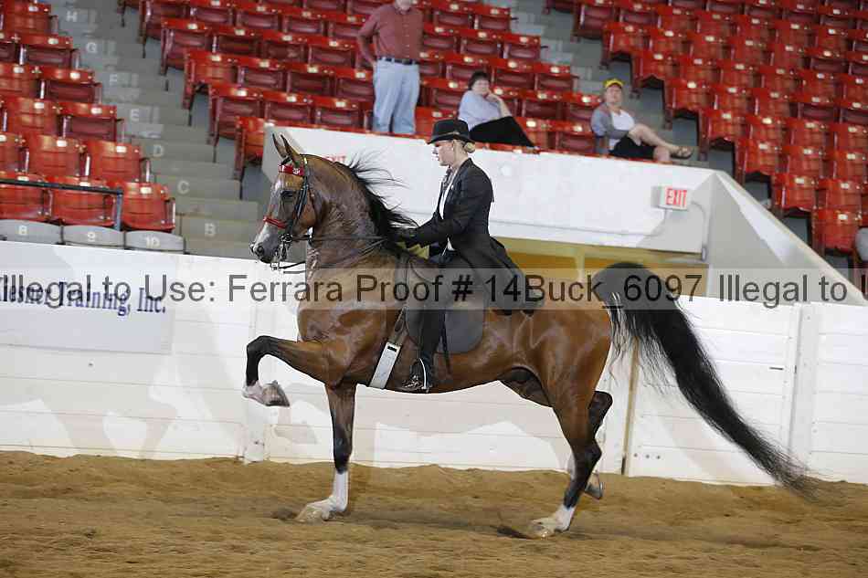 Proof 14buck_6097