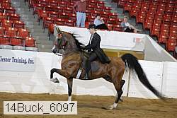 14buck_6097 proof