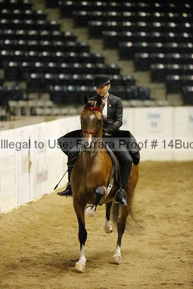 Proof 14buck_6098