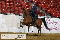 14buck_6099 proof