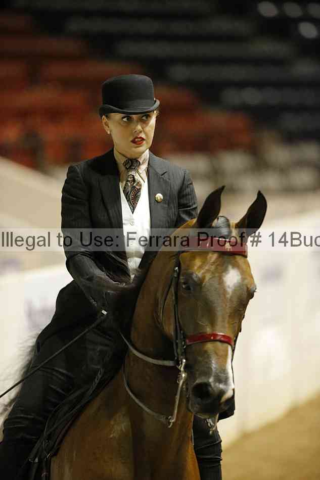 Proof 14buck_6100