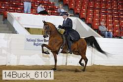 14buck_6101 proof
