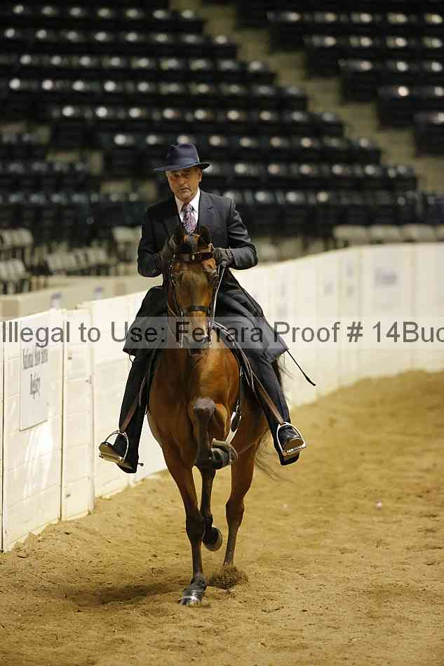 Proof 14buck_6102