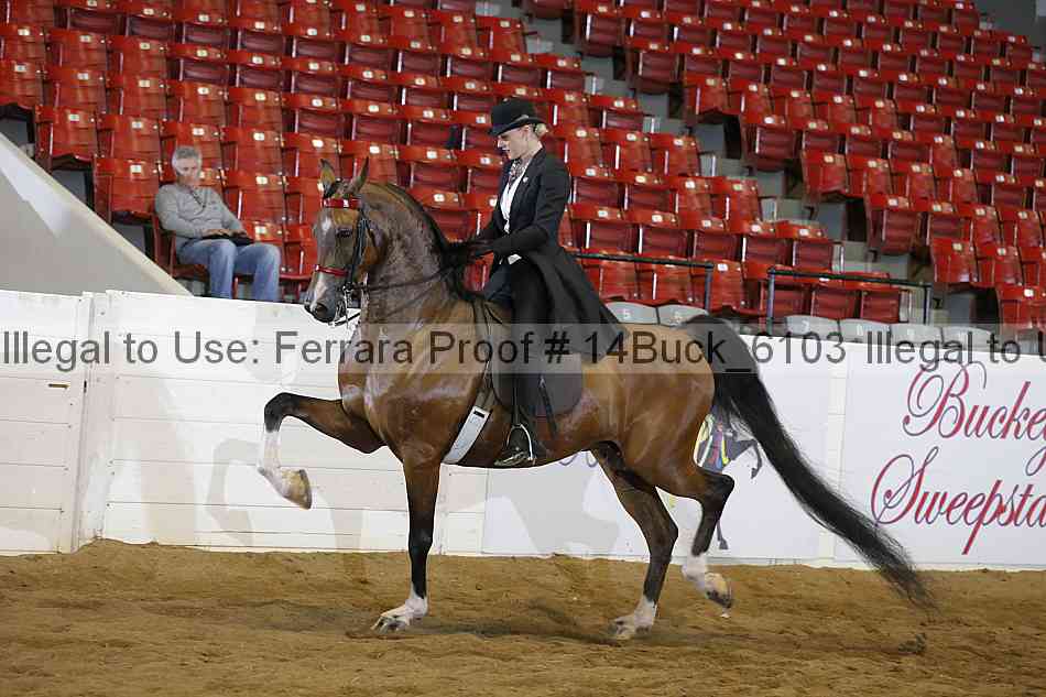 Proof 14buck_6103