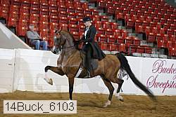 14buck_6103 proof