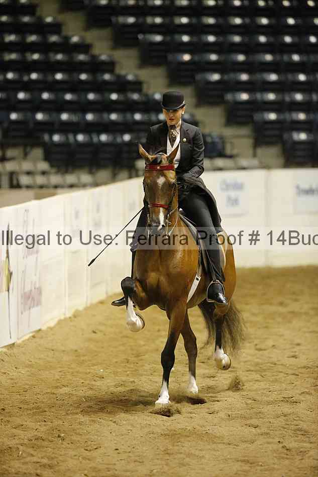 Proof 14buck_6104