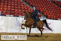14buck_6105 proof
