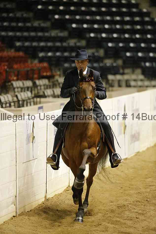 Proof 14buck_6106