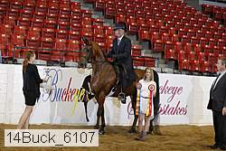14buck_6107 proof
