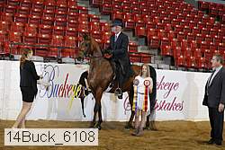 14buck_6108 proof
