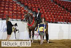 14buck_6110 proof