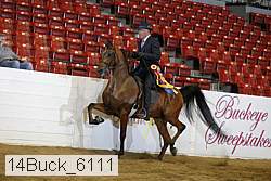 14buck_6111 proof