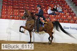 14buck_6112 proof